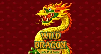 Wild Dragon Hold & Win game tile